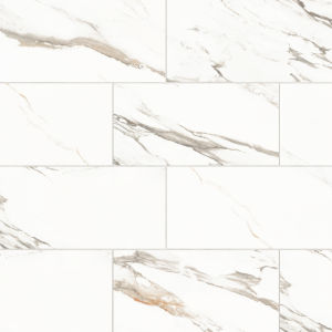 Prati 12" x 24" Polished Porcelain Field Tile in Calacatta Macchia Vecchia