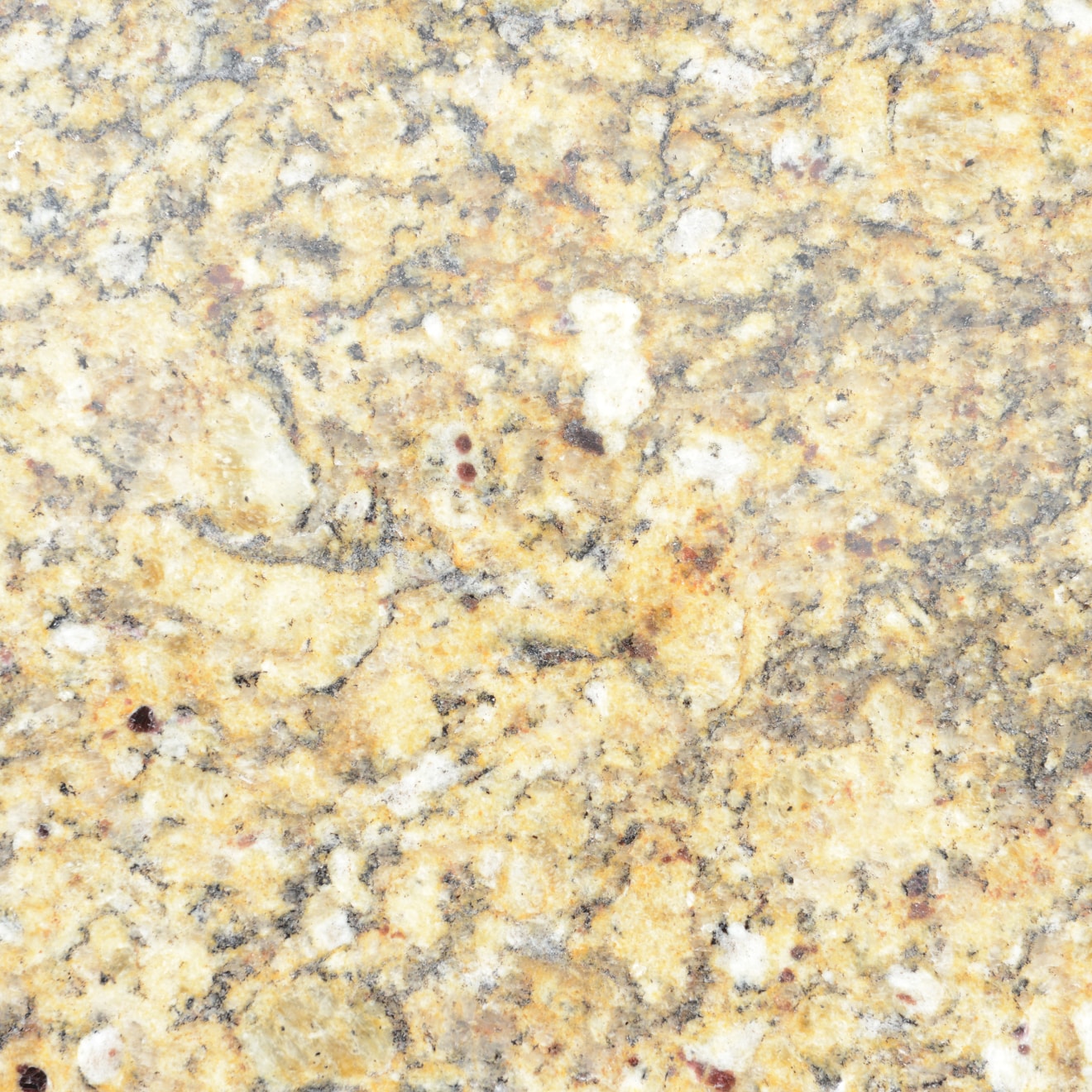 Venetian hotsell gold granite